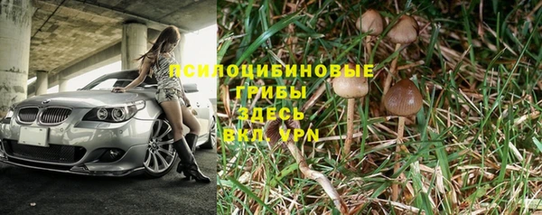ECSTASY Новокубанск