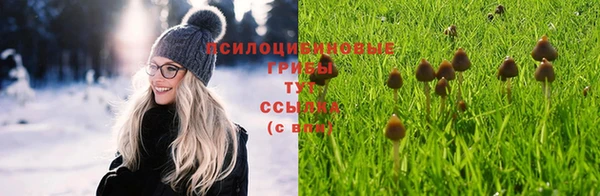 дурь Новозыбков