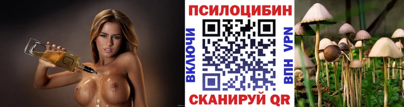 МЕГА зеркало Мегион Псилоцибиновые грибы мицелий цены