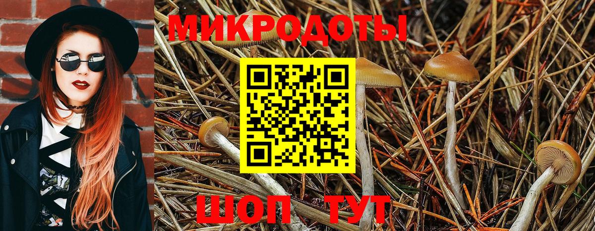 Псилоцибиновые грибы Psilocybine cubensis  Вход с VPN  Галлюциногенные грибы ЛСД  Мегион 