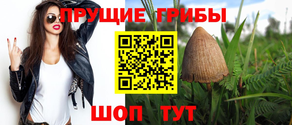 Псилоцибиновые грибы MAGIC MUSHROOMS Мегион